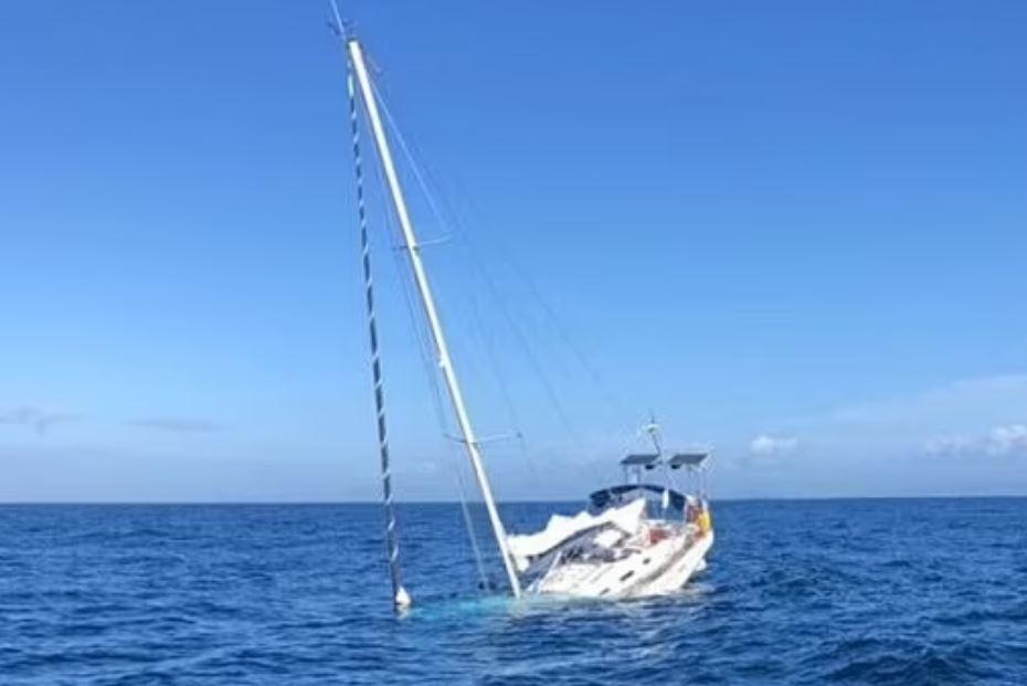 A group of orcas sinks the boat, the crew has to flee on the lifeboat